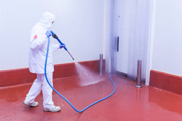 Best Warehouse Cleaning  in Marksville, LA